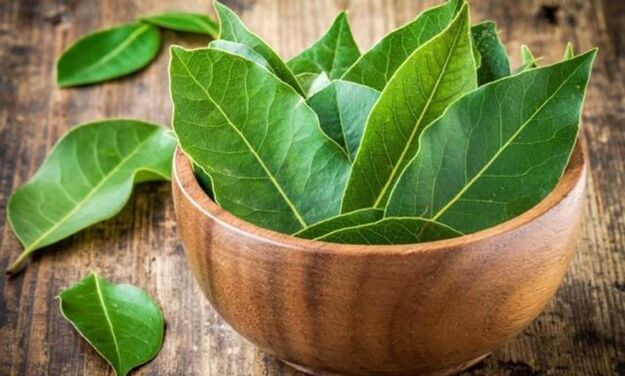 Bay leaves for the preparation of a decoction that relieves the swelling of the knee with arthrosis